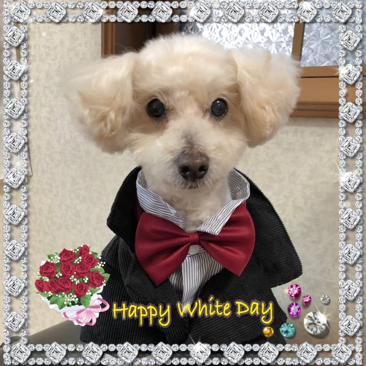 23d1318c 0077 46ce 8762 b8cfa1f61717 1552490311935