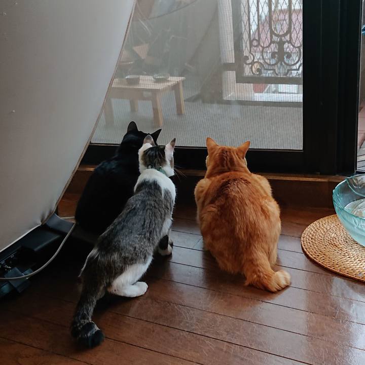 23d147b6 3007 4b61 9c5a 3fe046242f8b 1552521297333