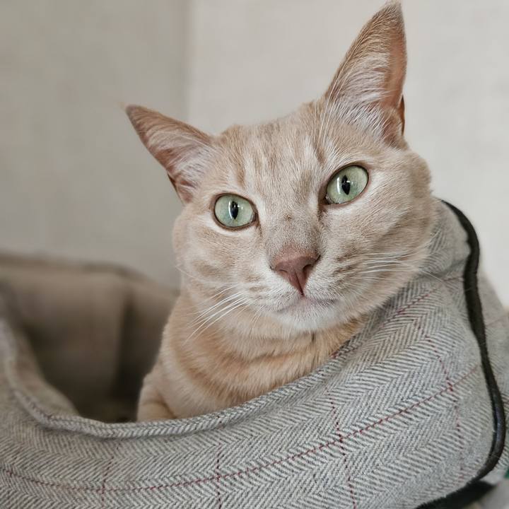 23d159f7 4298 47fe bd86 09f9ba1611b6 1700893543949