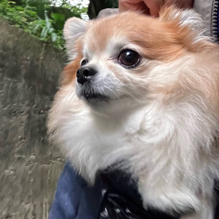 23d1b1d8 a7c2 47aa 92b4 64ffef73e1a5 1760611606106