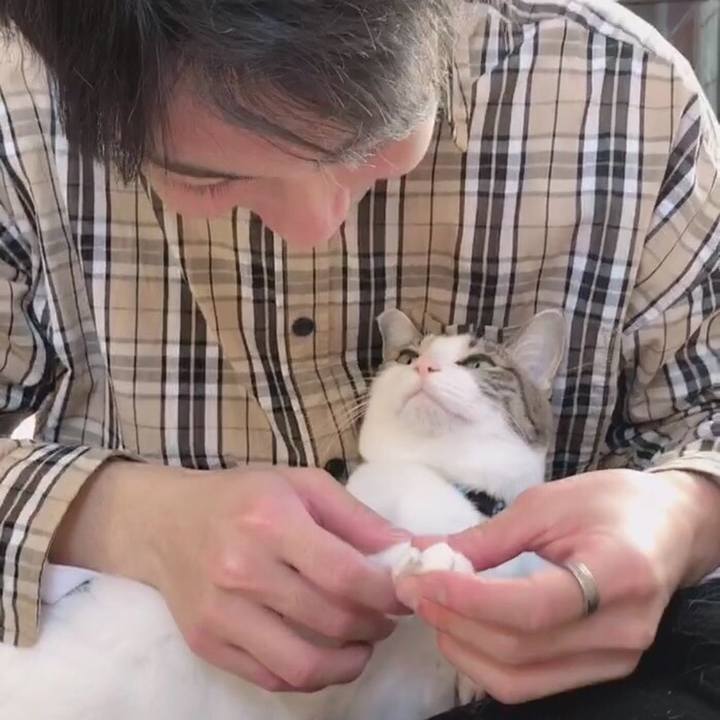 23d1c652 162f 4087 990c 38594fcd38e4 1545647060253