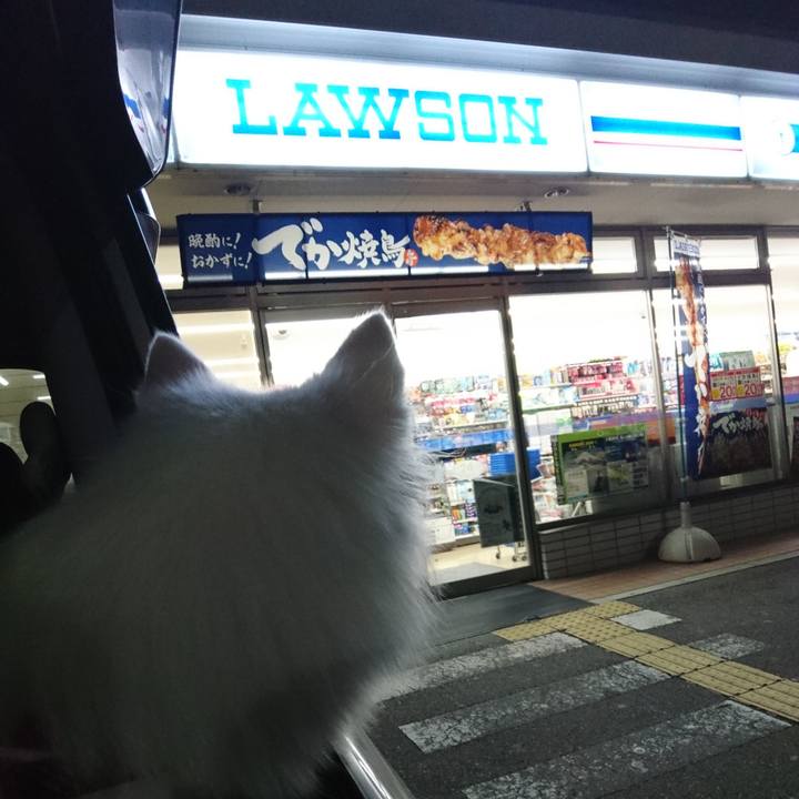 23d1d07b b099 435a 80aa b0eec30b7c08 1534682378961