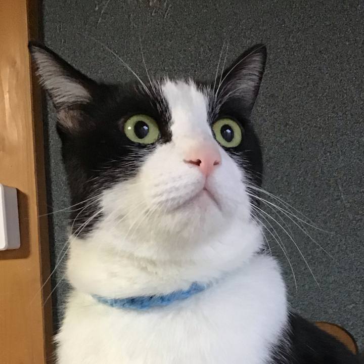 23d213e8 a1b4 482a 87bf ee7f71fbe7c2 1734563464562