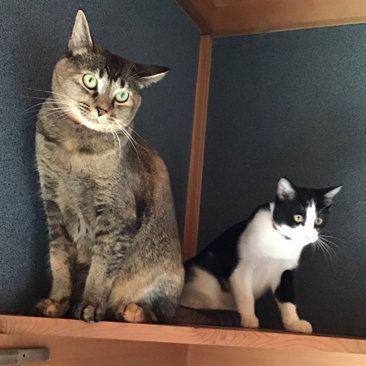 23d223f9 c16b 4719 b2dd 78d2cd9f4bff 1630024579926