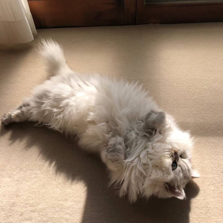 23d29cc9 2eb8 4eab 9438 58488a231cd3 1573614360457