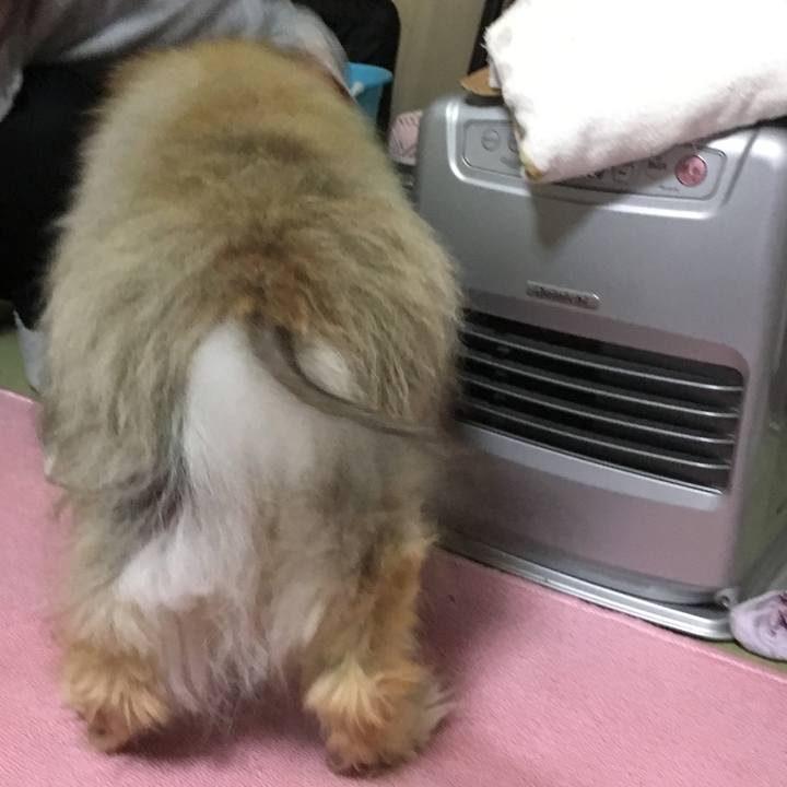 23d2c1e9 b863 404c a36e 7e7c01c045bf 1563735420265