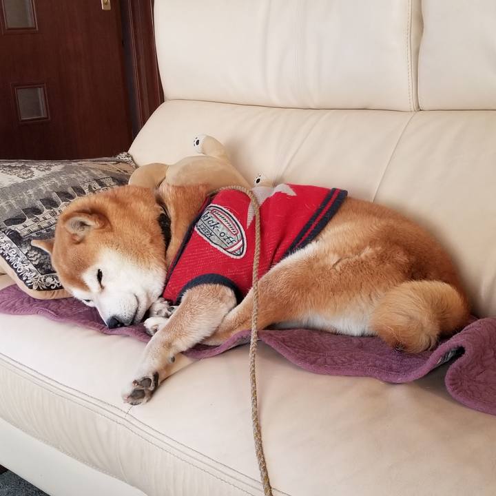 23d2c489 de21 45c1 b1df 015a7654b127 1609975587571