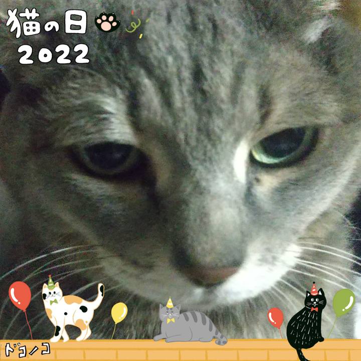 23d2e04e 01cd 48fe a4ea 14d51a03f283 1645536798890