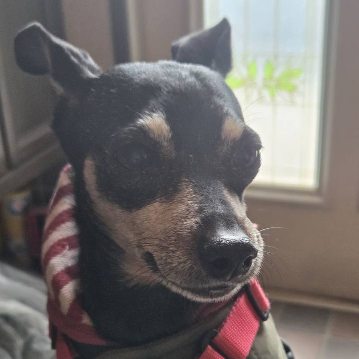 23d320a1 bed5 4221 aa2a d4ffb3458d80 1769562072281