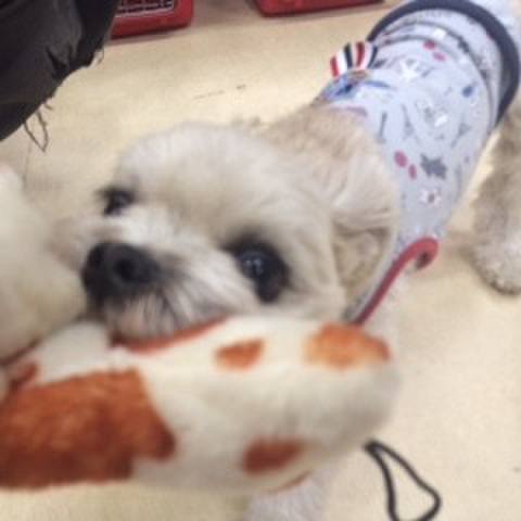 23d3966a 5d4e 4bde b34a be6ce830d0dc 1516015185583