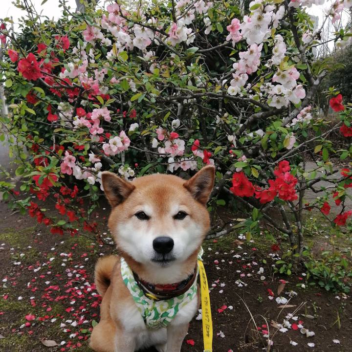 23d39923 d325 4f96 bd1e 1e5bd499c5f4 1679887914581