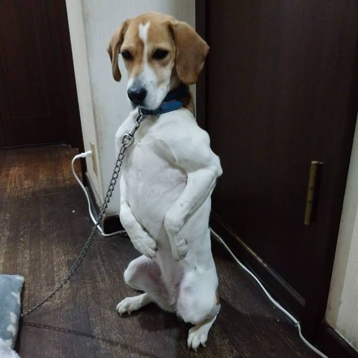 23d3cd81 6a8d 4e8b 9147 5ca5ed74de52 1613647438397