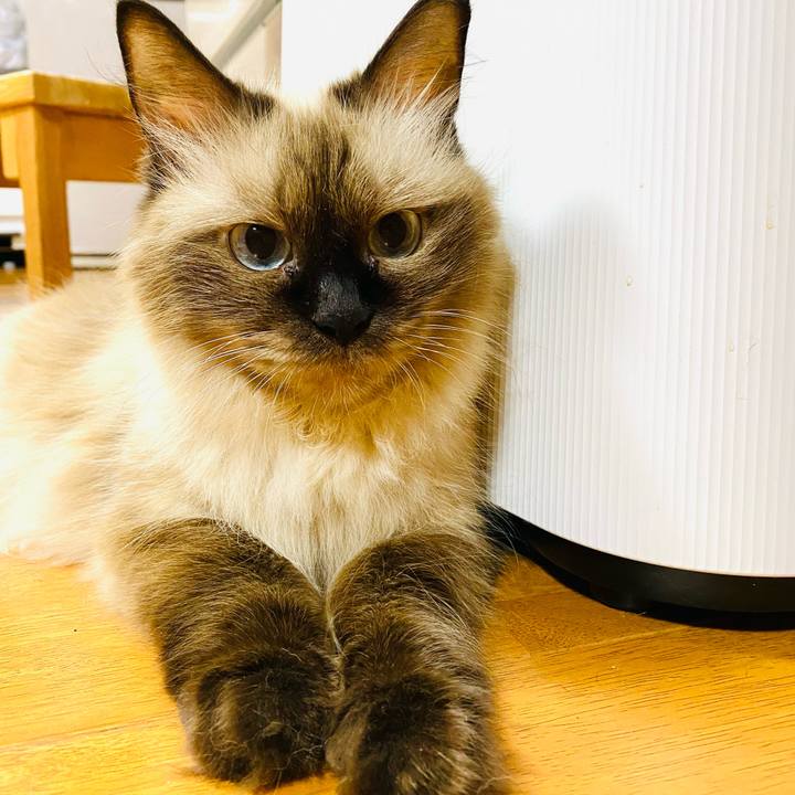 23d3fc25 84c8 4b1a 9dee 820ca73a7fb7 1695649999699