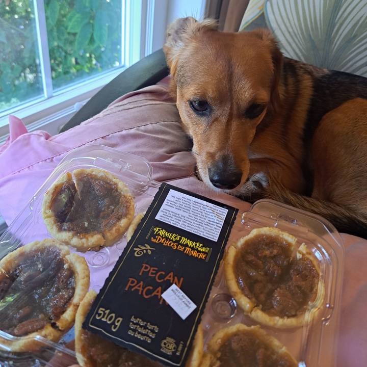 23d41b29 3d22 4cba 938a dd9553027d04 1758058734395