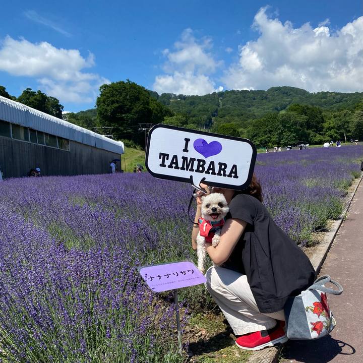 23d425cc 2cf9 4a02 a2be 9299c77e927f 1753017265123