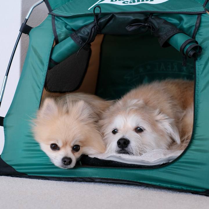 23d42d78 da43 4b5d aa6b 93b8f8e14c65 1771661745630