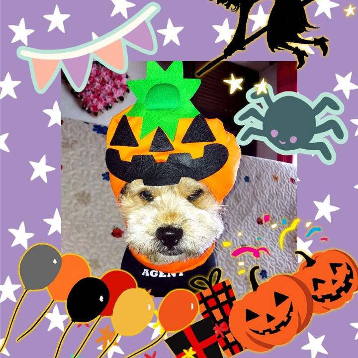 23d46c48 62df 4a13 8560 935498e7688b 1635652792740