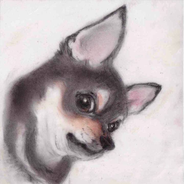 23d4731d 2729 4f76 b34d 345244935de1 1650796705084