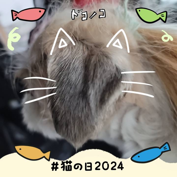23d49d54 8b32 42c9 abda 7b17100e2f39 1708554279388