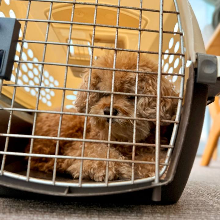 23d4b71b bc63 45d1 8eb6 afa8e97e497c 1763023850913