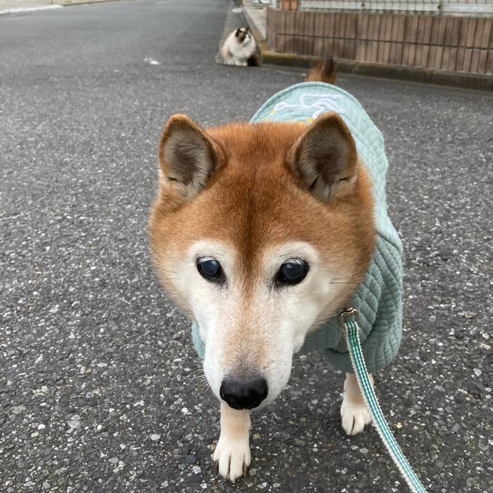 23d4ba5c 1734 4a49 aa73 9648cddc4a06 1737271624170