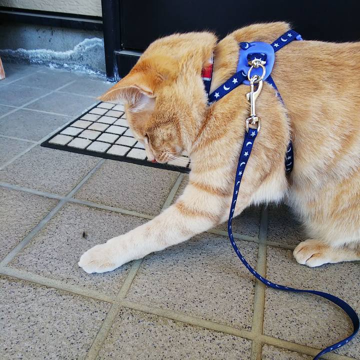 23d4c4ac 2b9b 4b3a 9f10 1f221b8e7f22 1560814899305