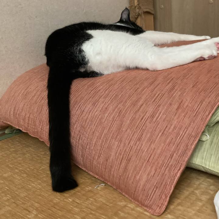 23d51a89 09f7 4b98 ba11 333c3ba9f671 1629685359579