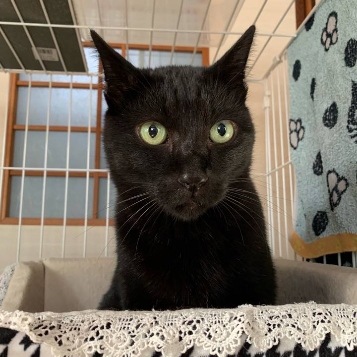 23d52715 44ff 4caa bd3d be46567c3c6b 1545094090951