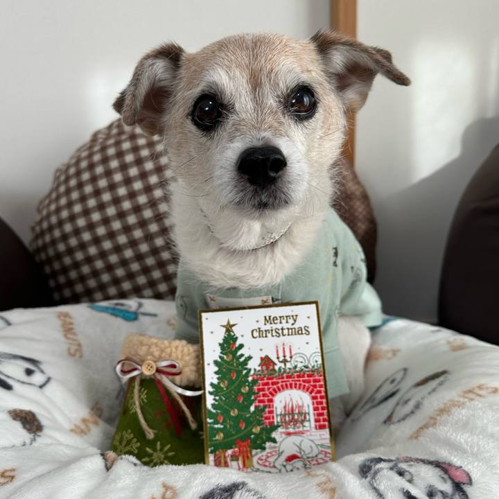 23d53410 2c6d 4df5 ae10 797c9b9eda39 1734949203841