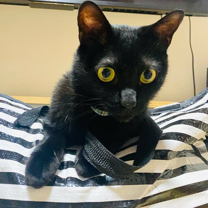 23d538a9 7ed5 4f40 af24 16dfebbfd8b8 1754229168642