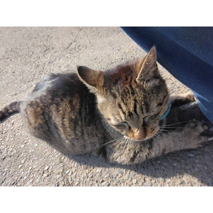 23d54ce6 8e58 49c0 907e c2c2744aa520 1712017878818