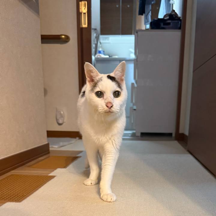 23d55c71 8f2a 497a 8b86 366bbbcab976 1761957310481