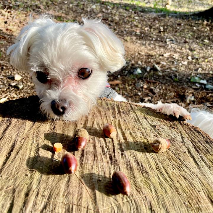 23d5945f 2206 4345 9696 135306f11baf 1635827181573