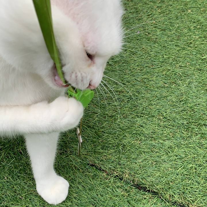 23d596df 81f8 4296 89b5 15f3d82cd654 1569838948970