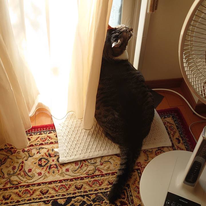 23d5c1f3 79d6 4856 8ecd 996c3ecc3d00 1632615328981