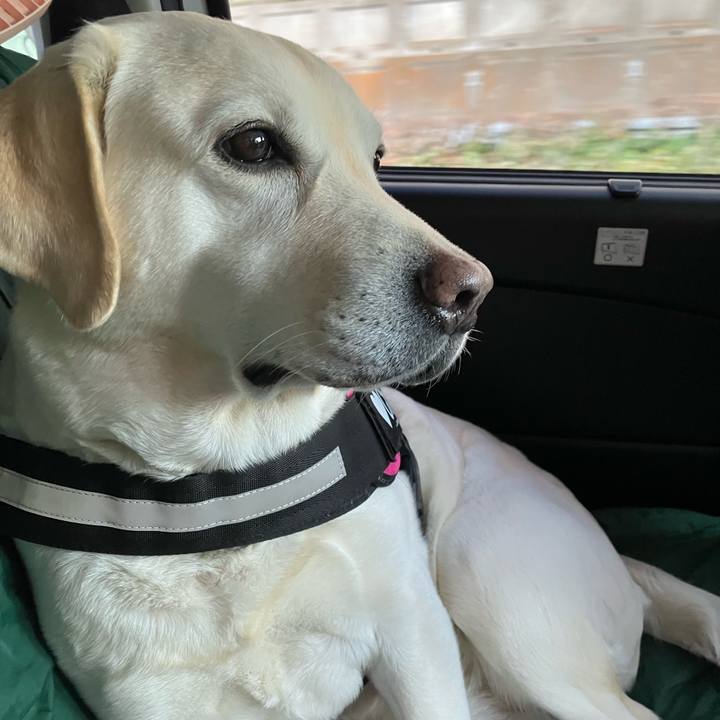 23d60cb8 0985 462d b0fd 6f698ce36234 1676845224884