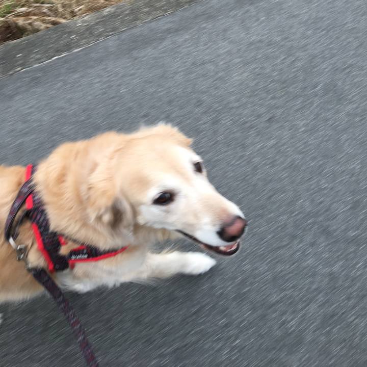 23d643d6 422a 4f40 af1e 828251f229bf 1542096587233