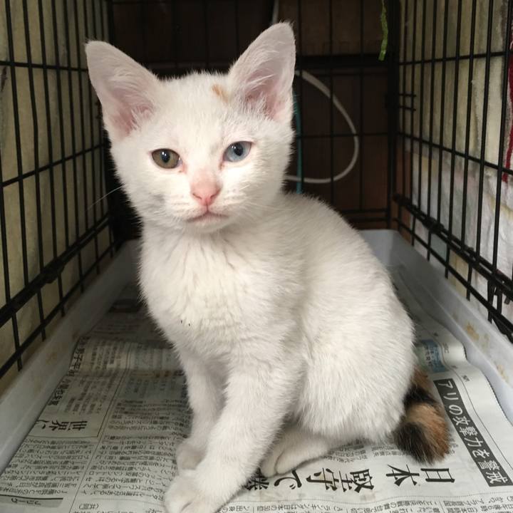 23d65495 940c 4441 9679 3bc4a1f9c922 1550649620089