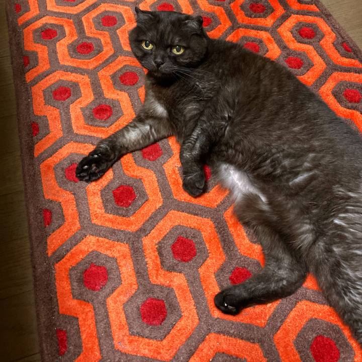 23d65a18 9c62 4e4b bfab 62ff2ed3802a 1618675159470