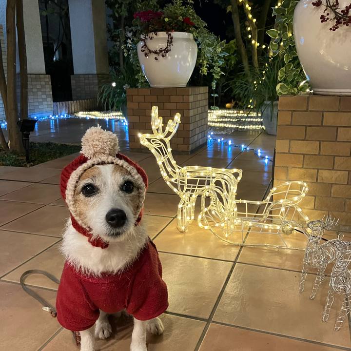 23d65d85 d0e4 47cc bd21 0d84f4cc62f1 1671927890138