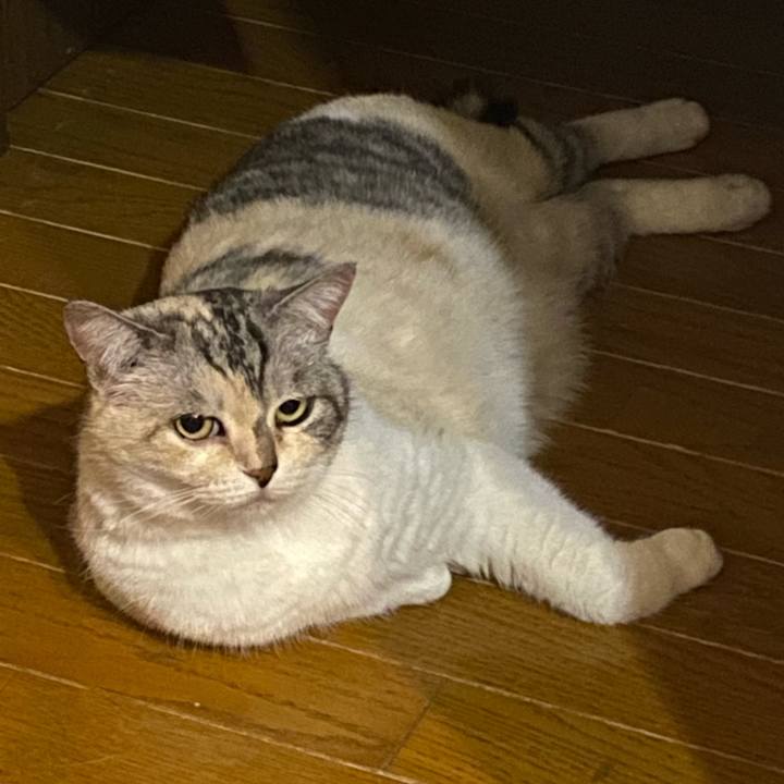 23d671d6 464d 4d81 85d7 b9dbb68fb00b 1654357872342