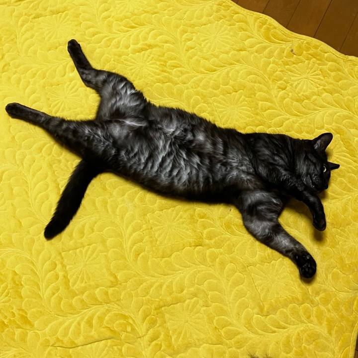 23d67ff5 b57b 45b1 9b11 56d2d48247b9 1739920152312