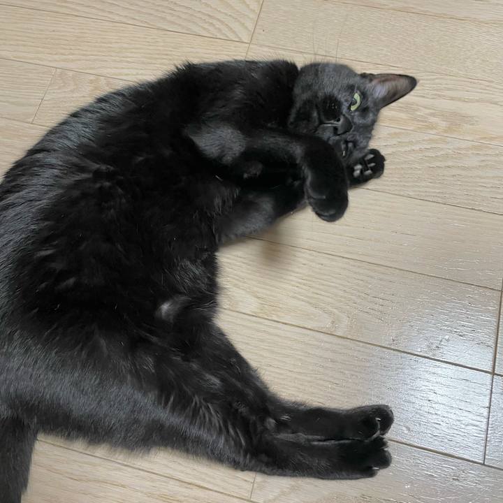 23d6c5d5 f4d2 4aa6 863f 2415f777f1a7 1646918965837