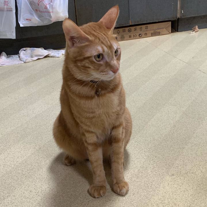 23d6d3a9 def3 4d39 9f4b 7948a5a24127 1575191917621