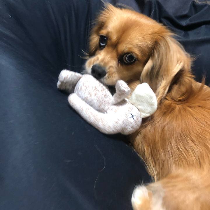 23d6dbec 32a9 4da4 8e0a 918725e93377 1541455467524