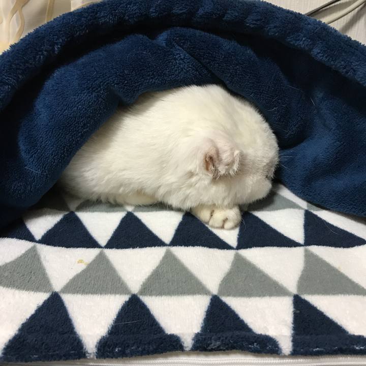 23d71674 bdac 4ea1 8a39 bd9c48bb9725 1538140404716