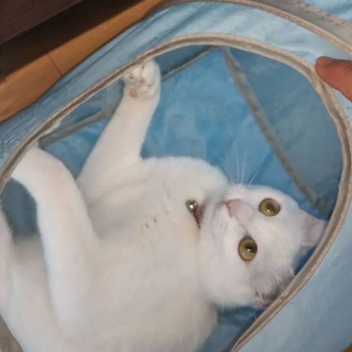 23d72b45 dcb3 4048 87f4 23864663669d 1624789046876