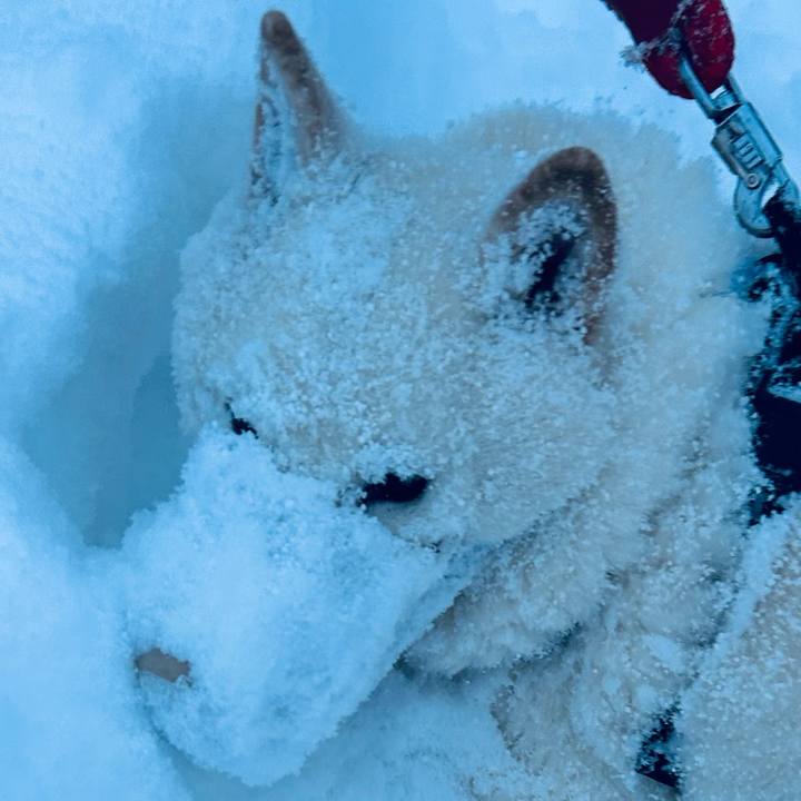 23d75248 9f7b 4491 870d f356d078b483 1738280835141