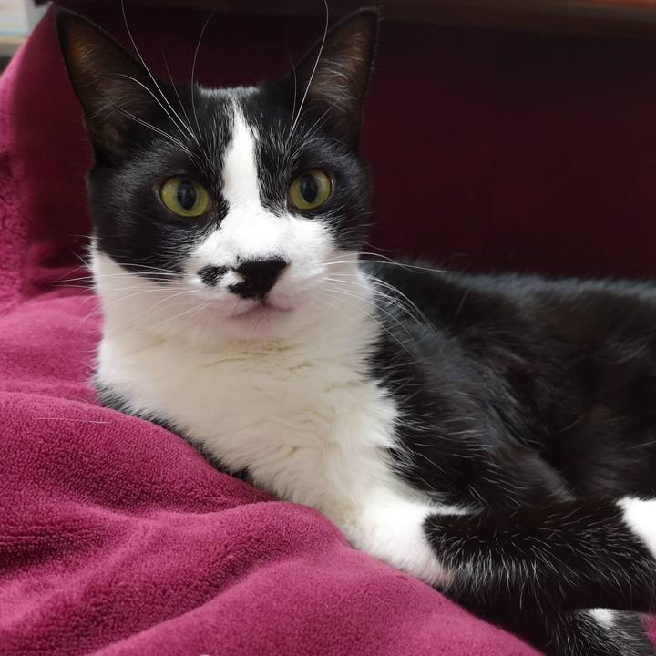 23d7e733 f3ac 41ad 8643 432ef7df5a00 1545217686466