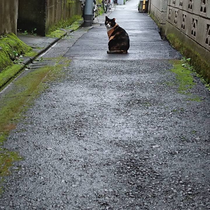 23d80c10 779e 4133 b8cc d16b2f88dee2 1602369121921